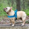 Image of Nylon Reflective Pet Dog Harnesses Vest Soft Flannel Padded For Small Medium Large Dogs