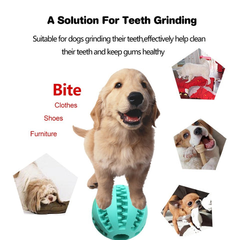 Multi-functional Extra-Tough Rubber Ball Chew Toy For Dogs