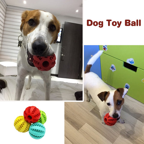 Multi-functional Extra-Tough Rubber Ball Chew Toy For Dogs