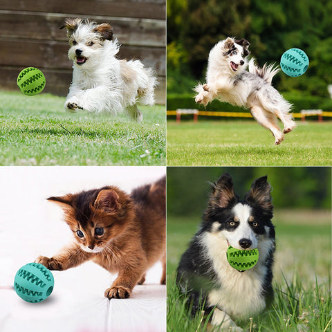 Multi-functional Extra-Tough Rubber Ball Chew Toy For Dogs