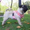 Image of Breathable Small Dog Harness and Leash Set Pet Vest Harness Collar Mesh Padded